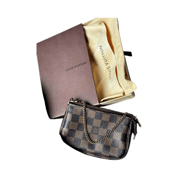 Louis vuitton mini pochette