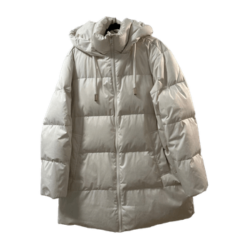 Zara coat
