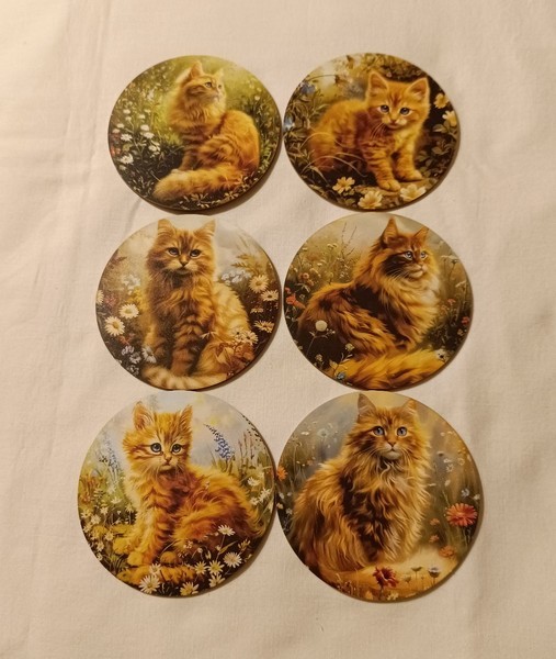 Cat design coasters