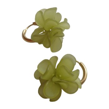 Ear rings jewelry