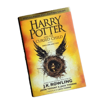 Harry potter accessory