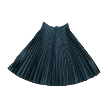 Zara skirt