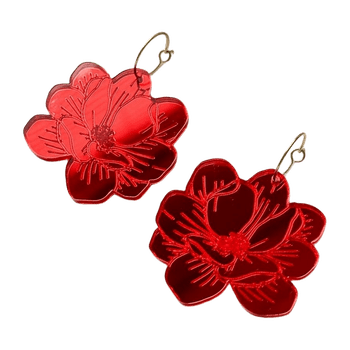 Earring jewelry