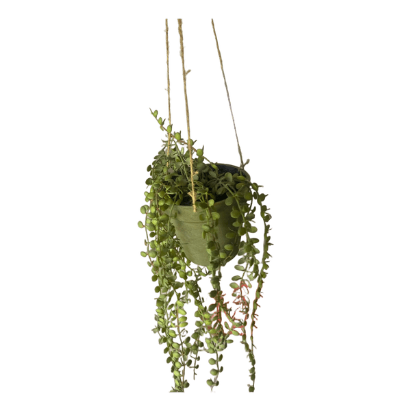 Grøn plasikplante
