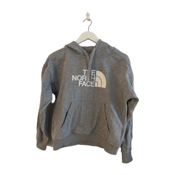 The north face hoodie