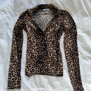 Zara blouse