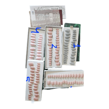 Switch nails selection of press on nails