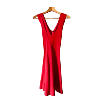 Whistles dress