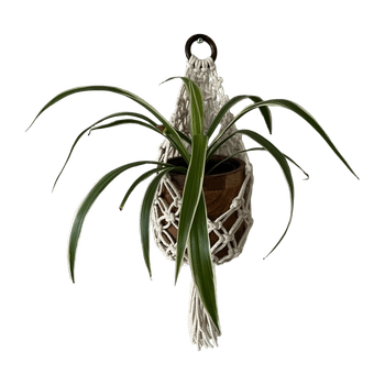 Macrame accessory