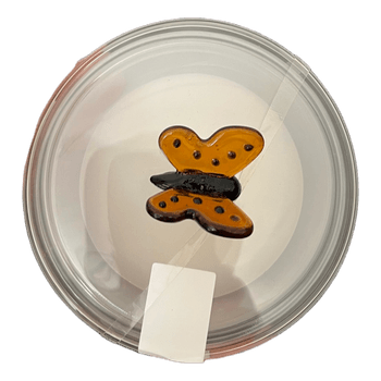 Butterfly Garden scented candle