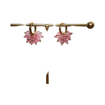 Pinkit pienet kristalliset rypäskorvikset