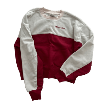 Champion hoodie