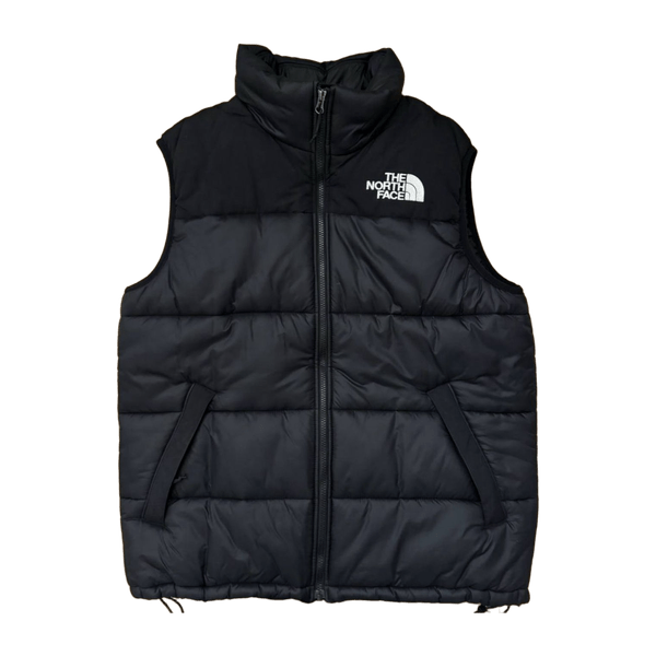 The north face coat