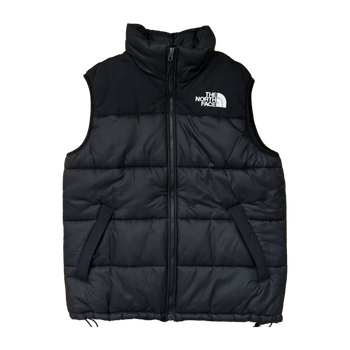 The north face coat