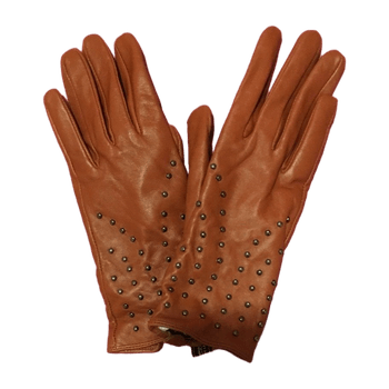 Hans company accessory