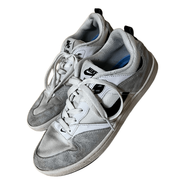 Nike SB Alleyoop sneakers