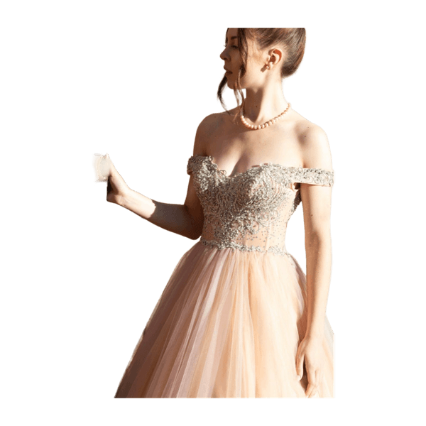 Terani couture dress