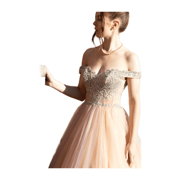 Terani couture dress
