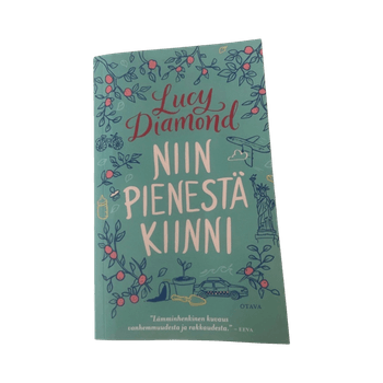 Lucy Diamond kirja Niin pienestä kiinni