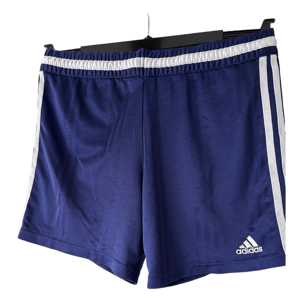 Blue adidas shorts