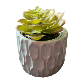 Small pot with faux plant