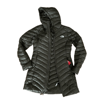 The north face coat