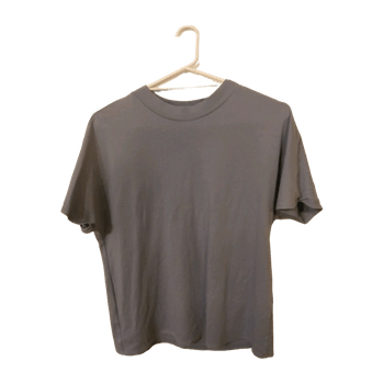 Mango top