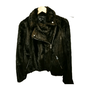 Zara coat