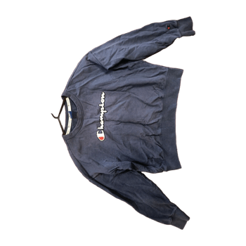Champion hoodie