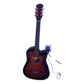 Acoustic guitar
