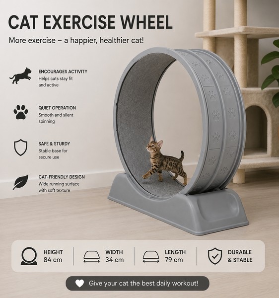 Cat exercise wheel