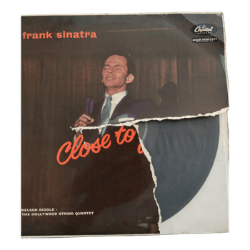 LP vinilinė plokštelė