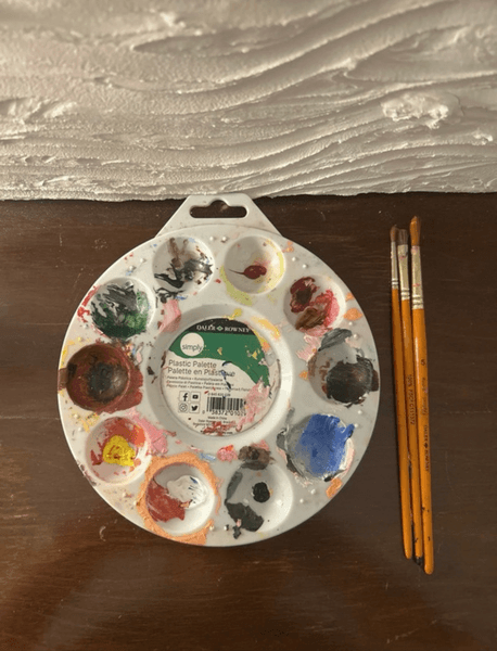 Daler Plastic Palette & Daler & Rowney Brushes