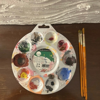 Daler Plastic Palette & Daler & Rowney Brushes